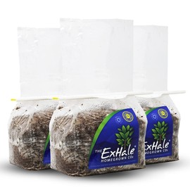ExHale Homegrown CO2 Original - CO2 Bag for Indoor Grow Rooms & Tents - Great for Indoor Grow Rooms - CO2 for Grow Tents - 4 lbs. (3 Pack)