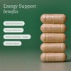 WILD NUTRITION Energy Support