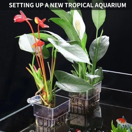 2 PCS Aquarium Plant Holder Top Hanging Fish Tank Plant Pot Aquarium Planter Cups for Water Feature Decoration (Square - Clear)