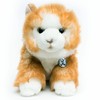 Maine Coon Cat Cuddly Toy Lying Down Red 30 cm