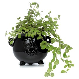 Puckator Vaso da Interno in Ceramica- Calderone - Streghe Nere