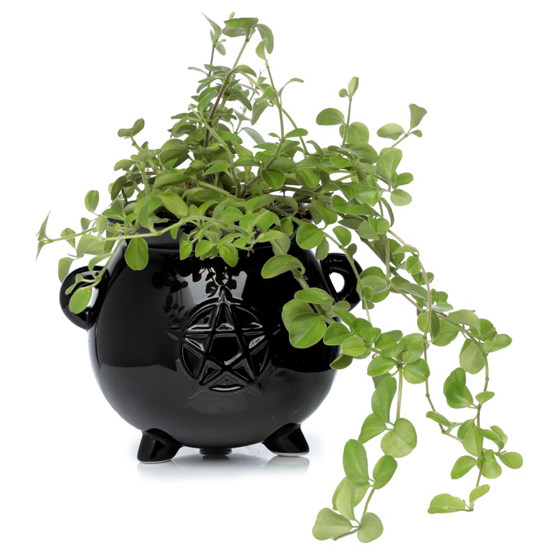 Puckator Vaso da Interno in Ceramica- Calderone - Streghe Nere