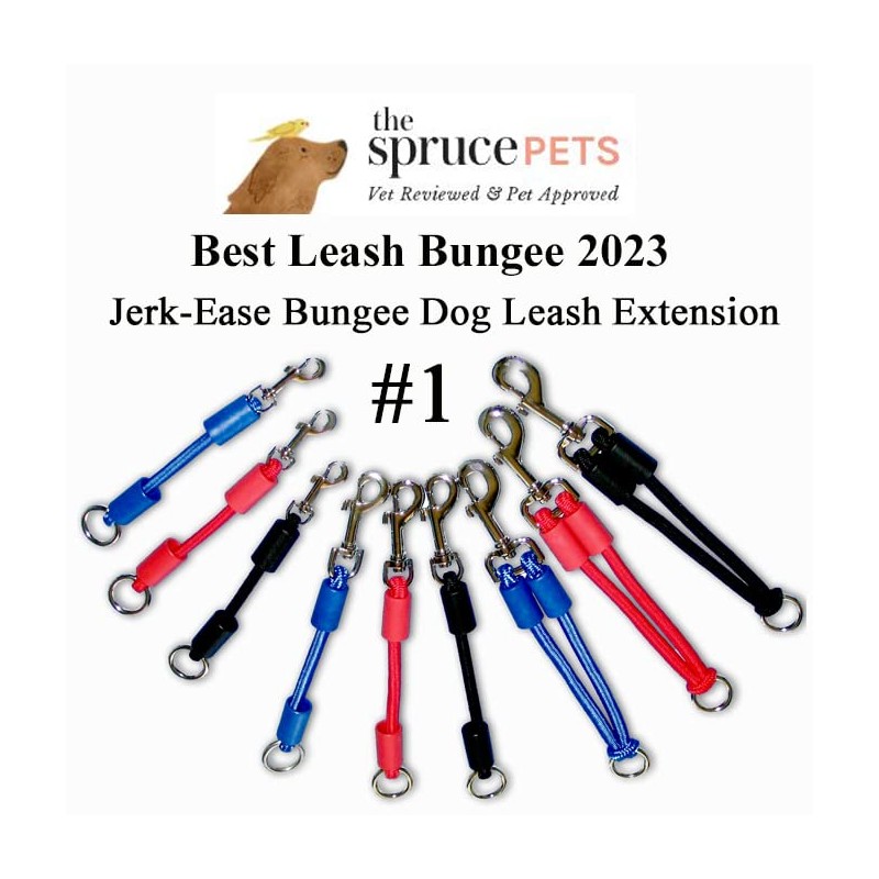 JERK-EASE BUNGEE DOG LEASH EXTENSION – Patented Shock Absorber Attachment