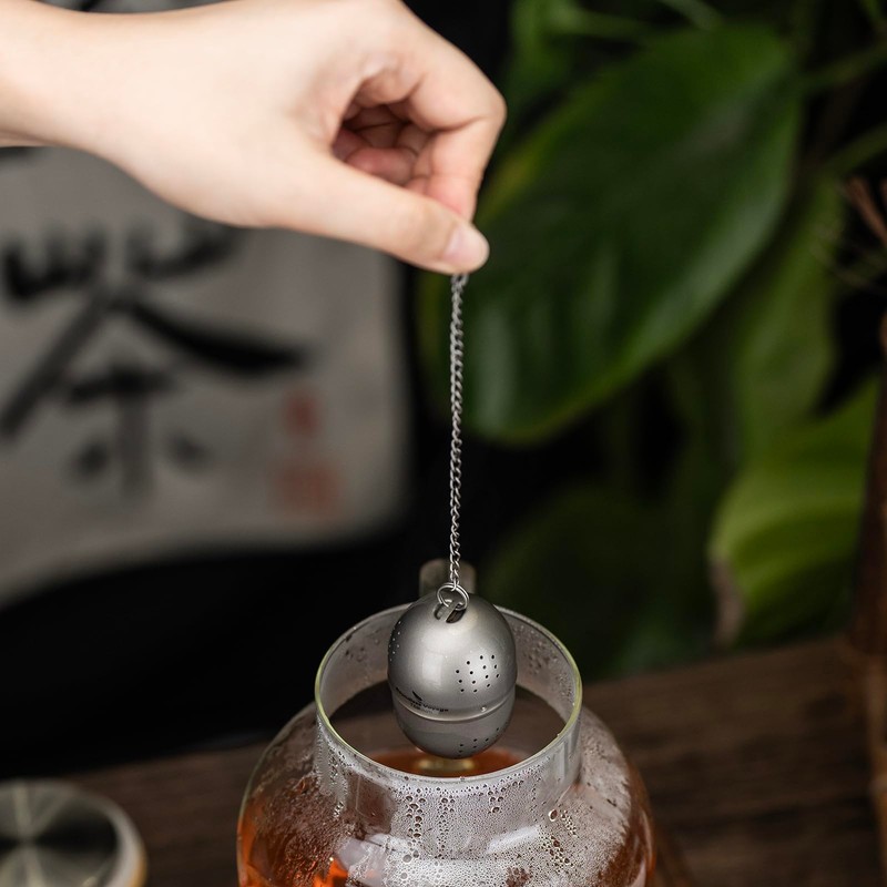 Boundless Voyage Titanium Tea Infuser with Extended Chain & Hook
