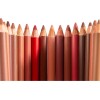 Set Gama 8 Lapiz Delineador Labios Wooden Beauty Creations®