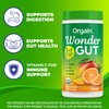 Orgain Organic Wonder Gut Fiber Supplement Powder, 5 in 1