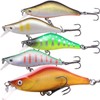 CONTYU Mountain Stream Minnow Set of 5 Slow Inducing Trout