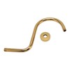Stainless Steel S Shaped Raised Shower Arm and Flange NPT