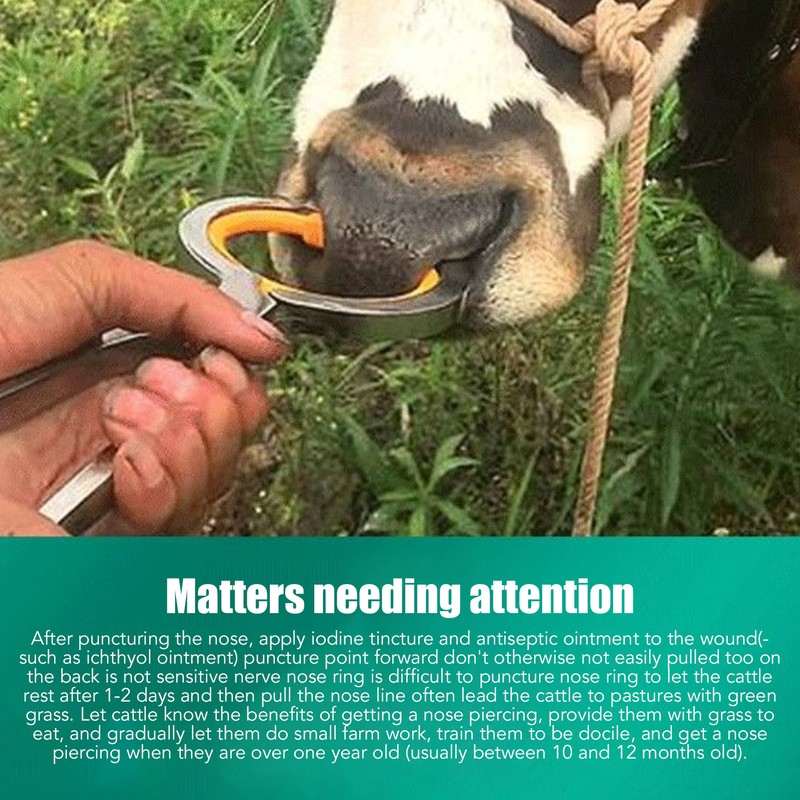 10 PCS Plastic Cow Nose Ring Large Cattle Breeding Nose