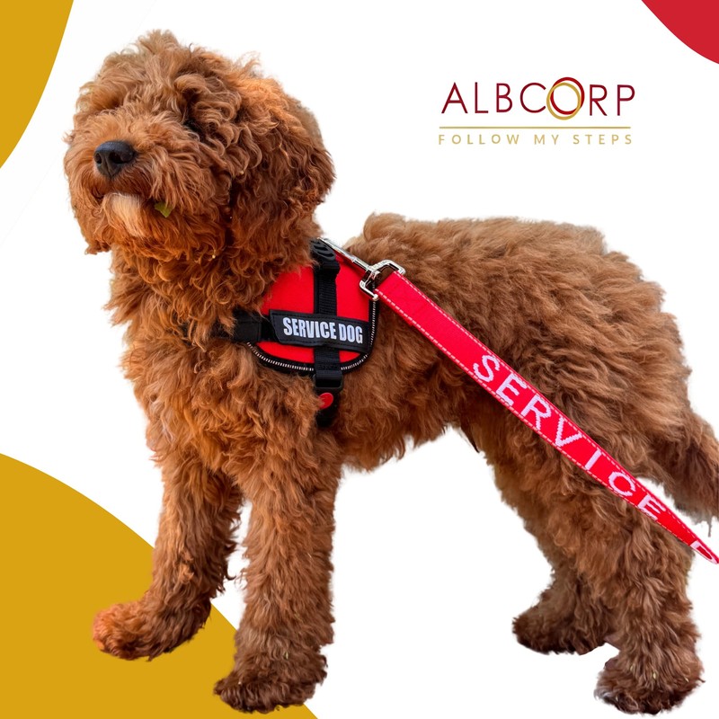 ALBCORP Service Dog Vest Harness – Reflective Service Animal Vest