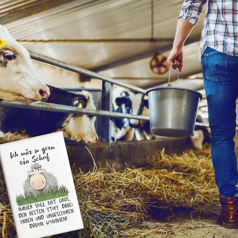 Sheep Souvenir Magnet Square with Saying Ich wär so gern