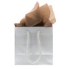 JAM Paper JAM PAPER Tissue Paper - Brown - 10
