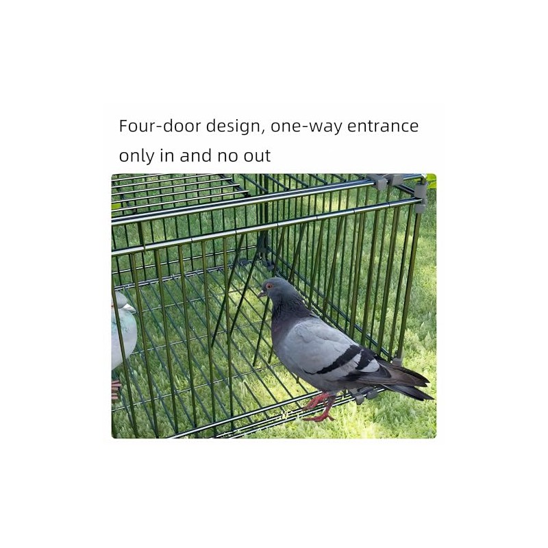 Bird Trap Cage Pigeon Quail Chicken Outdoor Trapping Live Small