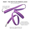 Pet Passion Recycled Ribbon Dog Leash 7 Ft. for All