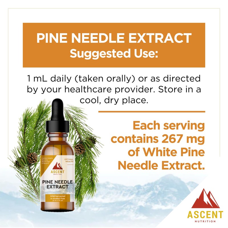 Ascent Nutrition Pine Needle Extract | Contains Naturally Occurring Shikimic