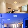 36w Round LED Ceiling Light Dimmable RGB Smart WiFi Mood