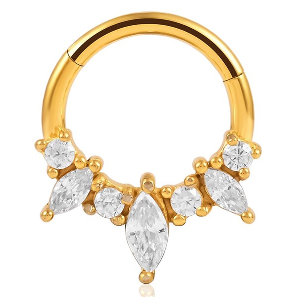 Vankula Nose Piercing Septum Ring Segment Clicker Made of Surgical