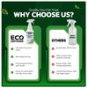 Eco Defense Gnat Spray for Indoor Plants – Fungus Gnat