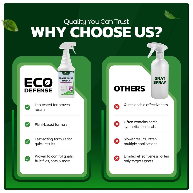 Eco Defense Gnat Spray for Indoor Plants – Fungus Gnat
