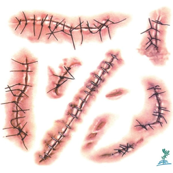 2PCS 3d Body Face Scar Temporary Tattoos Sticker Paper Waterproof