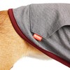 Reddy Soothing Dog Hoodie, Medium