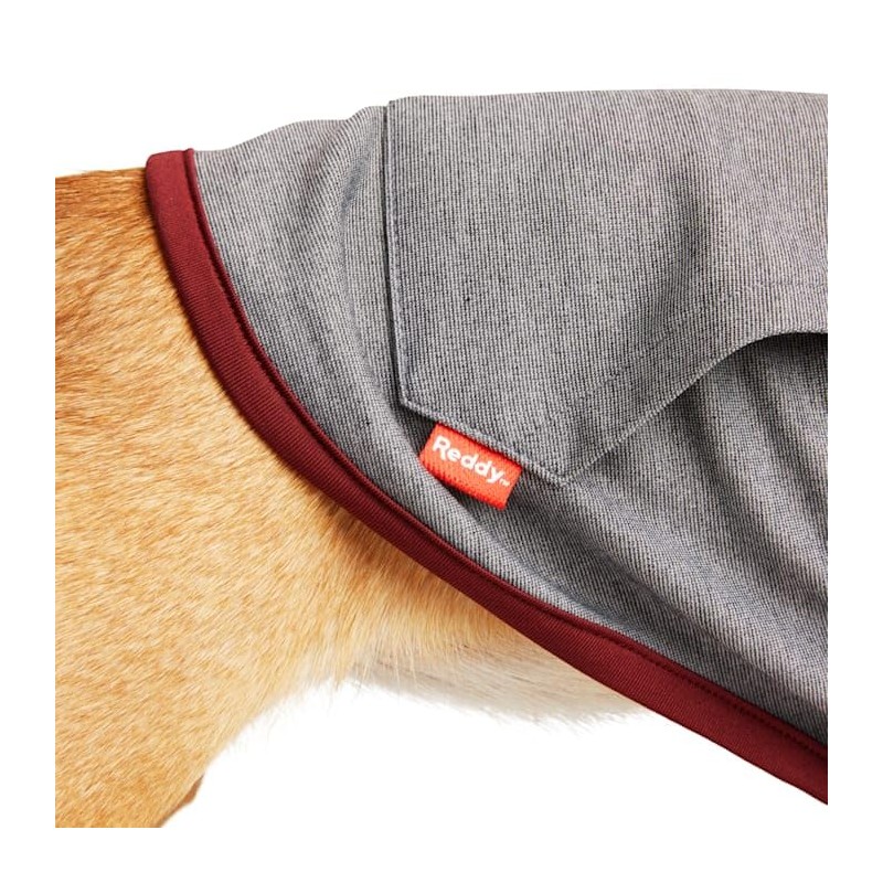 Reddy Soothing Dog Hoodie, Medium