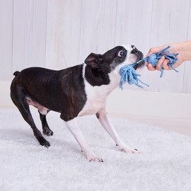 ADD. Mate Dog Toy, Denim Dental Rope, S