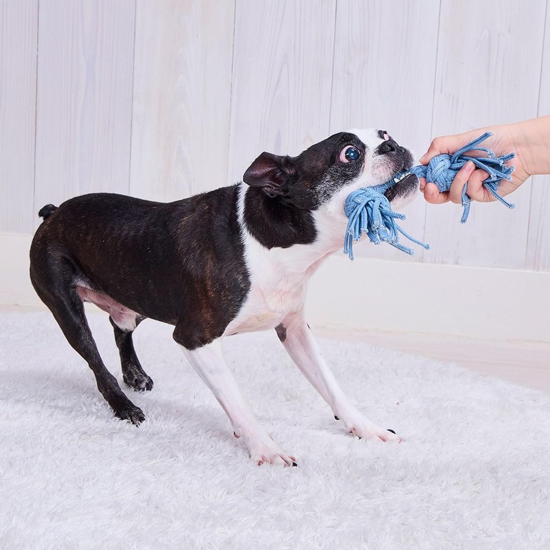 ADD. Mate Dog Toy, Denim Dental Rope, S