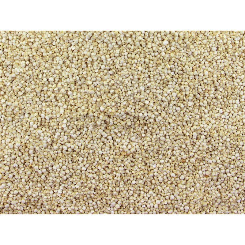 Gorilla Food Co. Natural Quinoa Grain | White | Raw