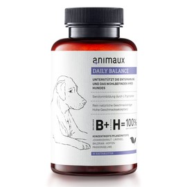 Animaux – Daily Balance for Dogs Herbal Support for Peace and Relaxation for Stress and Anxiety | 40 Tablets