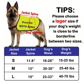 Funny Dog Slogan Jacket Vest Pet Me Please Dog Vest Dog Walking Warning Vest (Pet Me Please-Large)