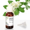 Allin Exporters Jasmine Sambac Oil - 100% Pure, Natural &