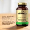 Solgar Chlorella 520 mg - 100 Vegetable Capsules