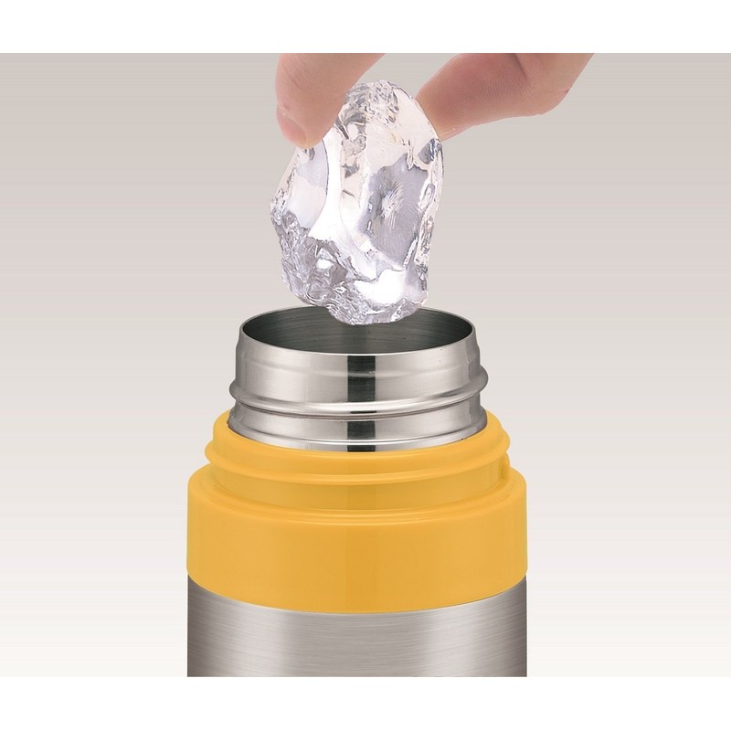 Plarail Stainless Water Bottle