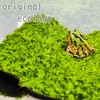 Active Island Reptile Flooring Mat Thermal Moisturizing Sheet Breeding Green