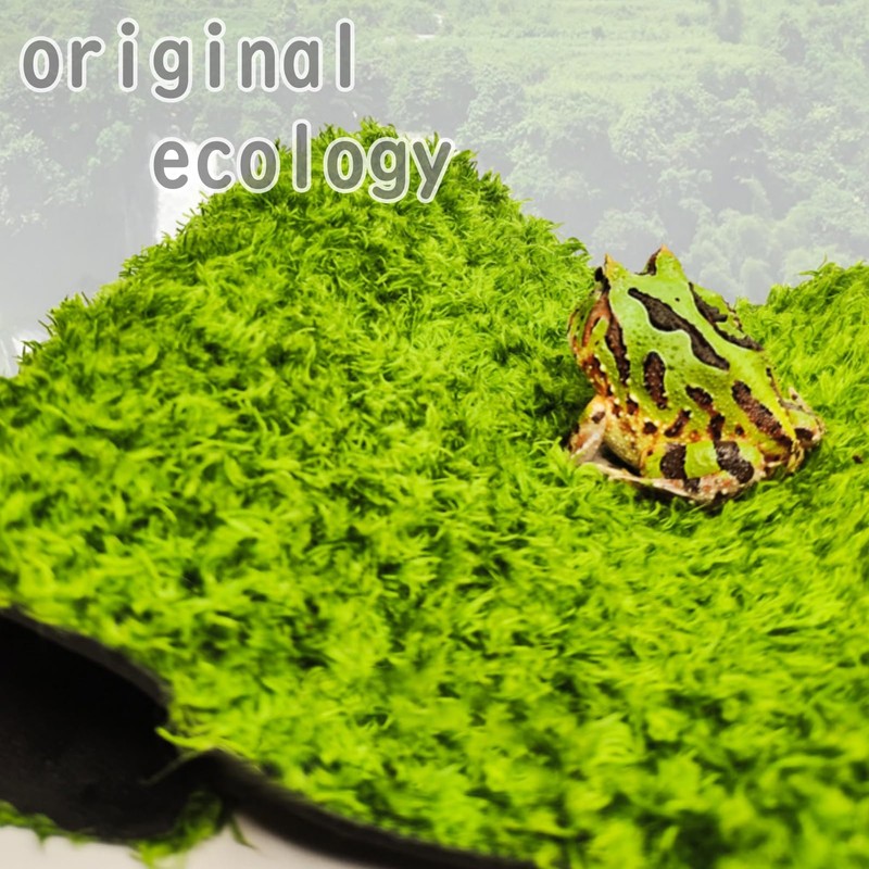 Active Island Reptile Flooring Mat Thermal Moisturizing Sheet Breeding Green