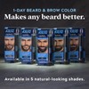 Just For Men 1-Day Beard and Brow Colour Brush, For