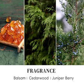 MOSROAD 2 Pack Balsam & Cedar Scented Candles, Christmas Pine Scented Jar Candle Gift Set, Natural Soy Fir Cedar Candle for Home Scented, Winter Holiday Fragrance Candles Gift for Women,Men