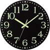Warminn Wall Clock - 12 inch Glow in The Dark