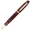 Gullor Fine Nib Fountain Pen X159, Acrylic Big Size Writing