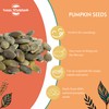 Sussex Wholefoods: Premium Pumpkin Seeds 500g - Crunchy, Nutritious, Protein-Packed