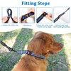 Mayerzon Martingale Collar for Dogs, No Pull Dog Collar with