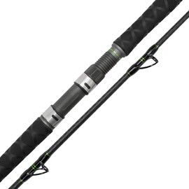 Catix® Long Range Catfish Rod - 3.10 m, 300-600 g Casting Weight - IM12 Carbon Fibre Blank, Fuji Reel Holder, Anti-Winding Design