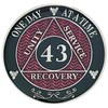 Simply Minimal AA 43 Year Recovery Silver Color Plated Medallions
