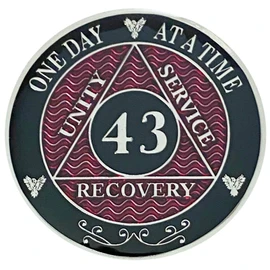 Simply Minimal AA 43 Year Recovery Silver Color Plated Medallions Alcoholics Anonymous Coins