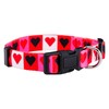 Native Pup Valentine's Day Heart Dog Collar