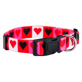 Native Pup Valentine's Day Heart Dog Collar