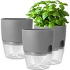 iDattel Herb Pot Kitchen Set, Window Sill, Self-Watering Set of