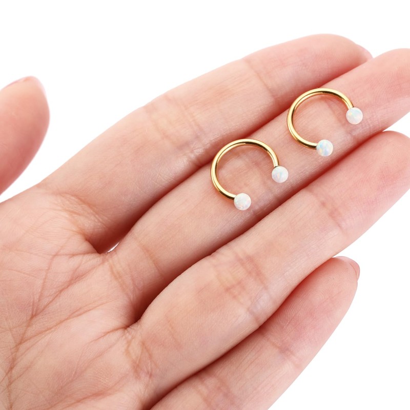 PEAKLINK Horseshoe Nose Ring Titanium Septum Jewelry 16G Horseshoe Lip