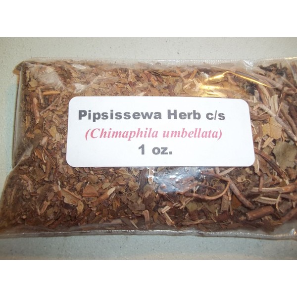 Pipsissewa Herb 1 oz. Pipsissewa Herb c/s (Chimaphila umbellata)